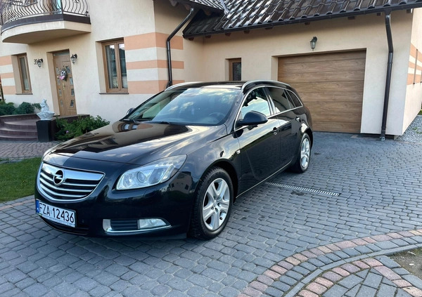 Opel Insignia cena 20700 przebieg: 310137, rok produkcji 2009 z Żary małe 137